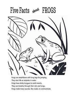 Fun Frogs Coloring Printable With Interesting Facts