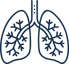 healthy lungs icon