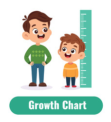 Kids Height Growth Chart Illustration