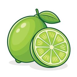 lime fruit with half slice vector