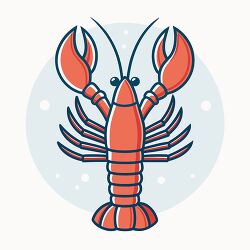 lobster seafood illustration