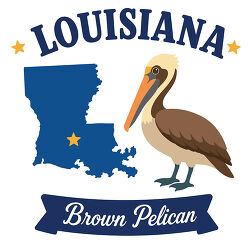 louisiana brown pelican state bird with map