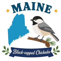 maine black capped chickadee state bird with map