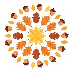 mandala design made of autumn leaves and acorns
