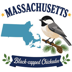 massachusetts black capped chickadee state bird with map