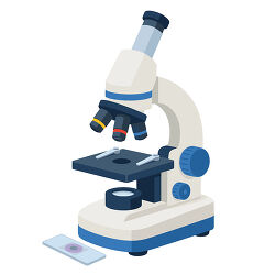 Microscope With Slide