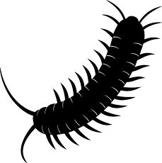 millipede silhouette 4