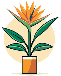 modern bird of paradise houseplant desig