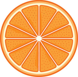 orange slice round fruit illustration