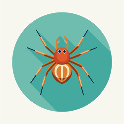Orange Spider Flat Design Icon