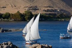 Beautiful Feluccas Sailing on the Nile River Near Aswan