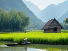 Fisherman Enjoys Tranquil Beauty of Lush Rice Fields