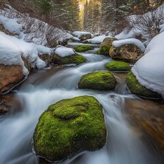 Flowing Stream Over Mossy Rocks in Snowy Colorado