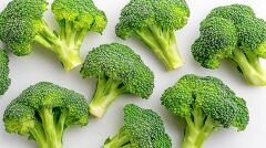 Fresh Broccoli Arranged on a White Background