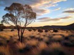 Golden Hues of the South Australian Outback at Dusk