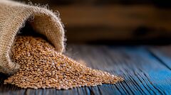 Grain Spilling From Burlap Sack on Wooden Surface