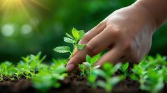 Hands Carefully Pulling Weeds From Green Garden Soil