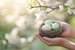 Hands Cradling a Small Nest With Pastel Eggs Under Sunlight