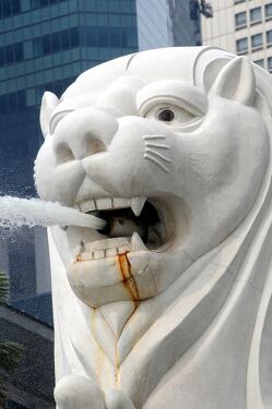 Iconic Merlion fountain spouting water in Singapore