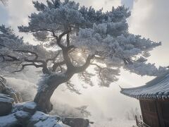 Mystical Winter Landscape With Ice Covered Trees and Hut