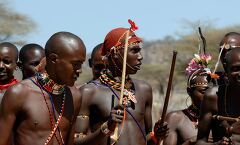 Samburu Tribe Engaged in Traditional Cultural Celebration