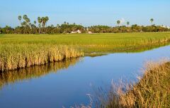 Serenity of Rice Fields Near Siem Reap Cambodia