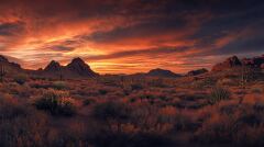 Stunning Desert Sunset Over Rocky Mountains Near Phoenix