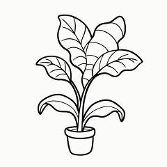 Printable Black Outline of a Ginger Plant for Coloring