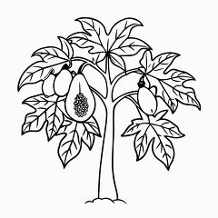 Printable Black Outline of a Papaya Tree for Art Projects