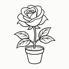 Printable Black Outline of a Rose Plant for Coloring