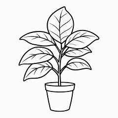 Printable Black Outline of a Rubber Plant for Coloring