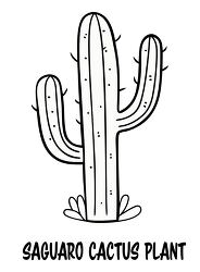 Printable Black Outline of a Saguaro Cactus with text