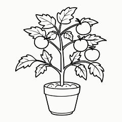 Printable Black Outline of a Tomato Plant for Coloring