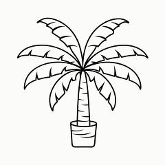 Printable Black Outline of a Traveler S Palm Tree Design