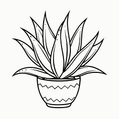 Printable Black Outline of Aloe Vera Plant for Coloring