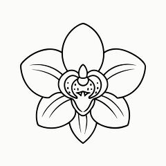 Printable Black Outline of an Orchid Flower Design