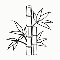 Printable Black Outline of Bamboo Plant for Coloring