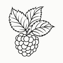 Printable Black Outline of Blackberry Plant for Coloring