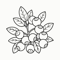 Printable Black Outline of Blueberry Coloring