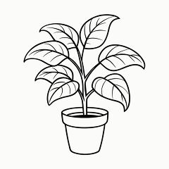 Printable Black Outline of Rubber Plant for Coloring