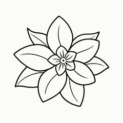 Printable Jasmine Flower Outline for Coloring