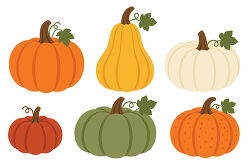 Pumpkin Set With Gourds And Fall Colors