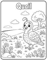 Quail in flower field coloring page
