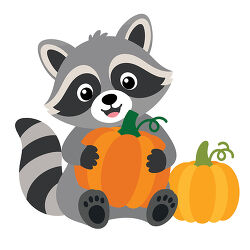 Raccoon Holding Pumpkin