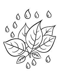 Rain on Leaf Coloring Page