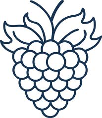 raspberry plant solid line icon