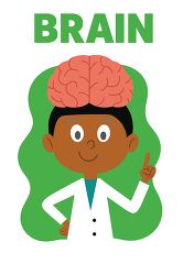 scientist showing human brain illustration