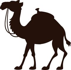 Silhouette of a Camel With Bridle and Saddle in Profile