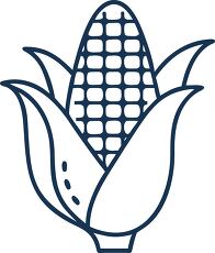 Simple Line Icon of Corn Outline Design