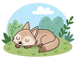 Sleeping brown fox curled in grass
